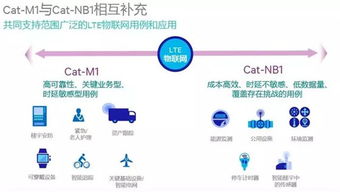 物聯(lián)網(wǎng)核心技術(shù)體系與網(wǎng)絡(luò)技術(shù)服務(wù)支撐